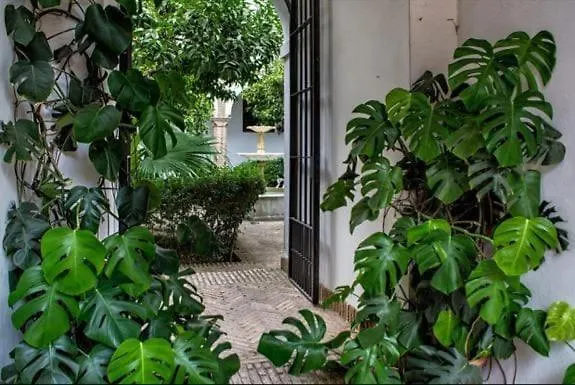Apartment Apartamento De Dos Dormitorios En Plaza Alfaro Sevilla